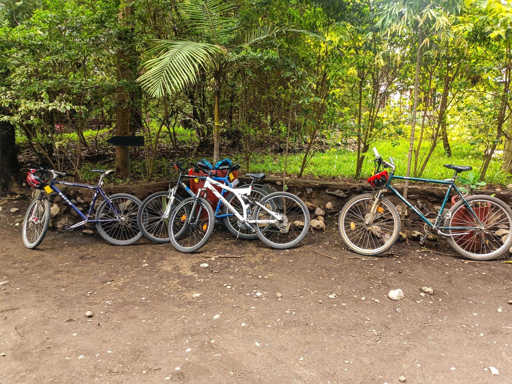 Shamba Hostel Usa River Bagian luar foto