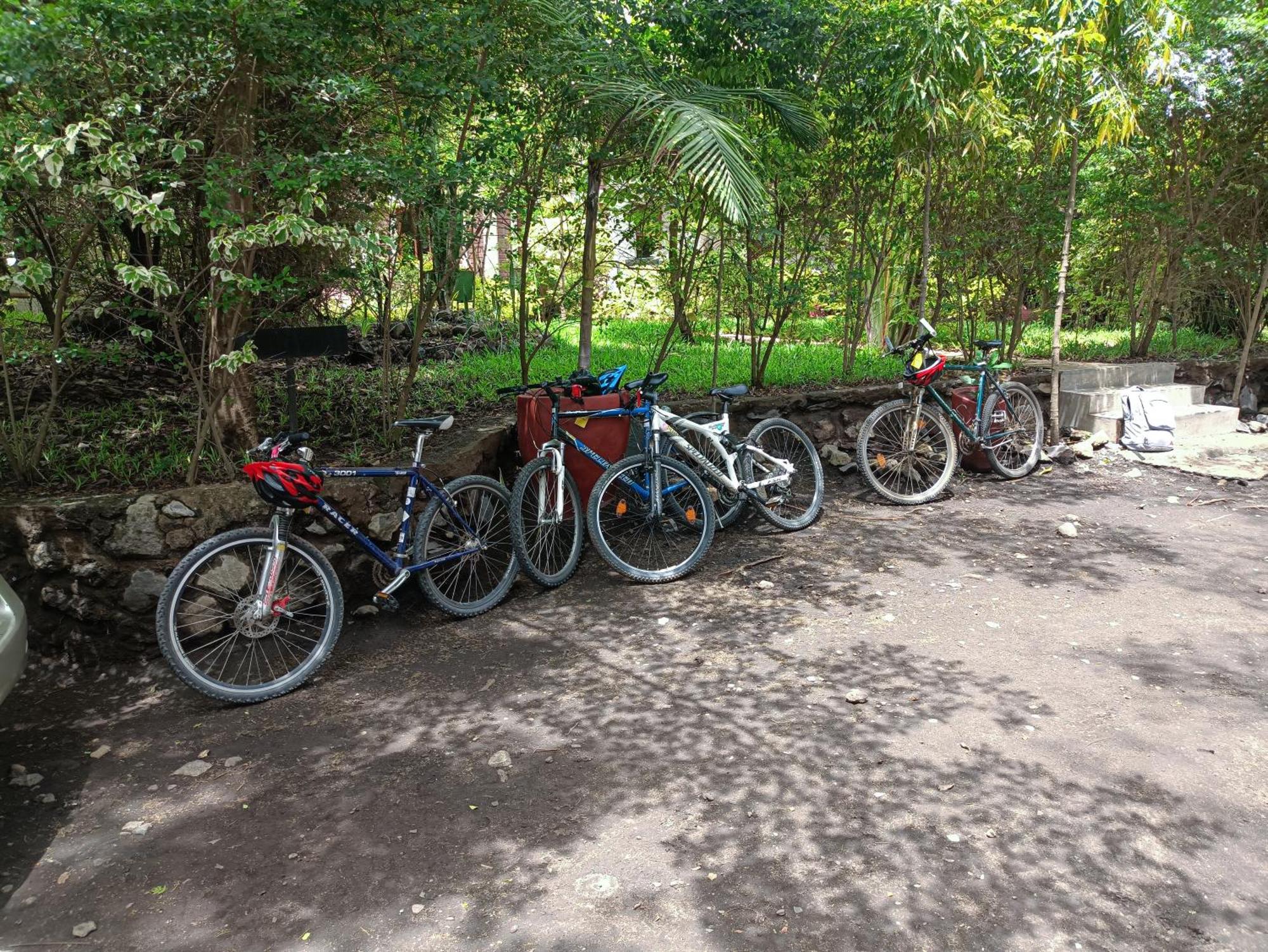Shamba Hostel Usa River Bagian luar foto