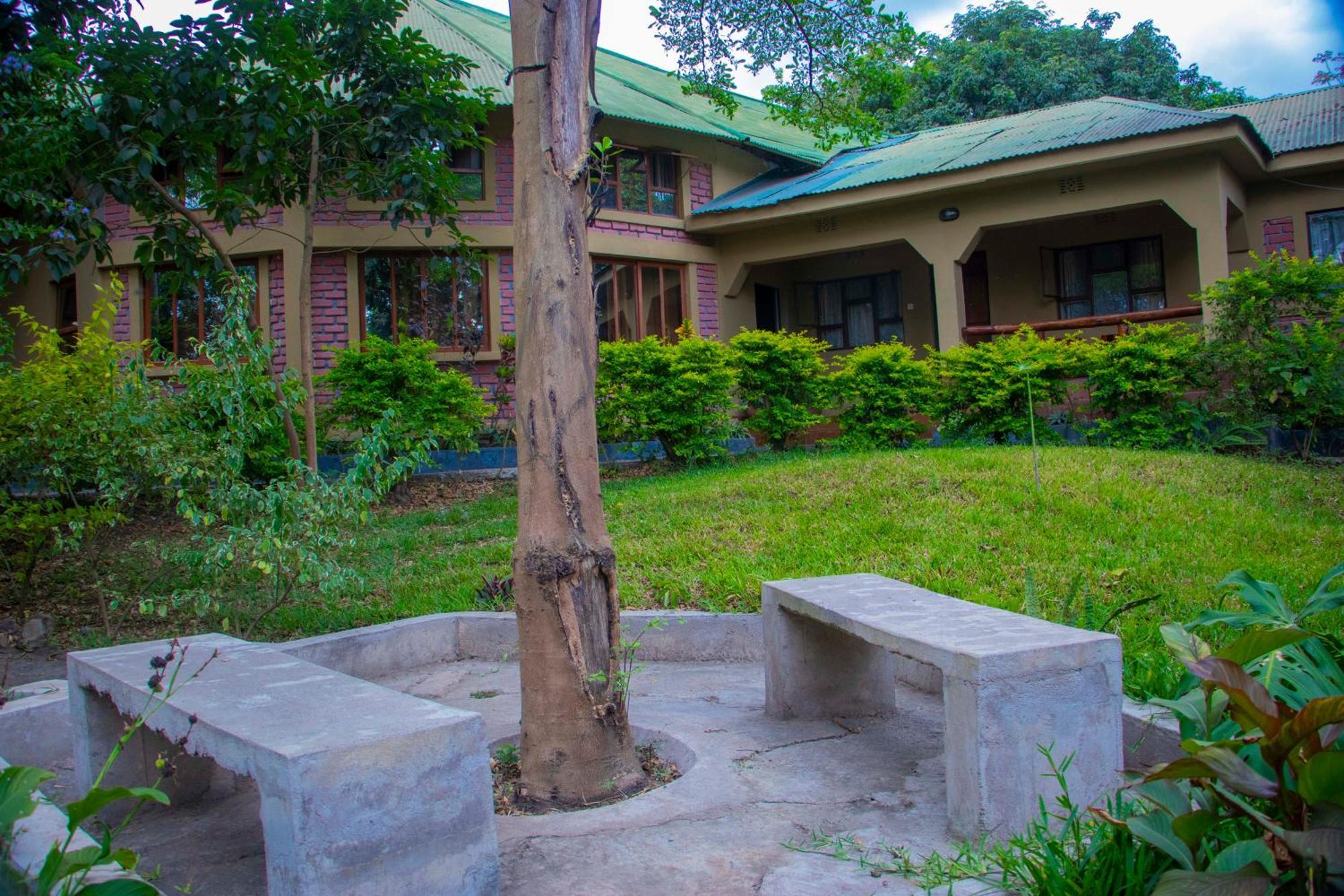 Shamba Hostel Usa River Bagian luar foto