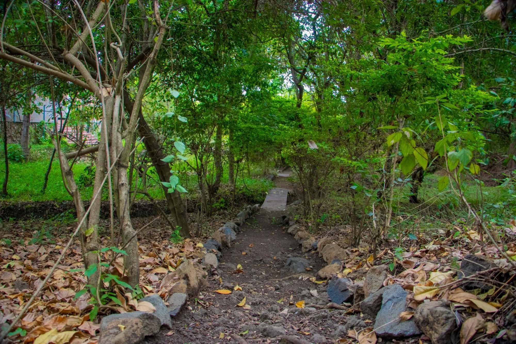 Shamba Hostel Usa River Bagian luar foto