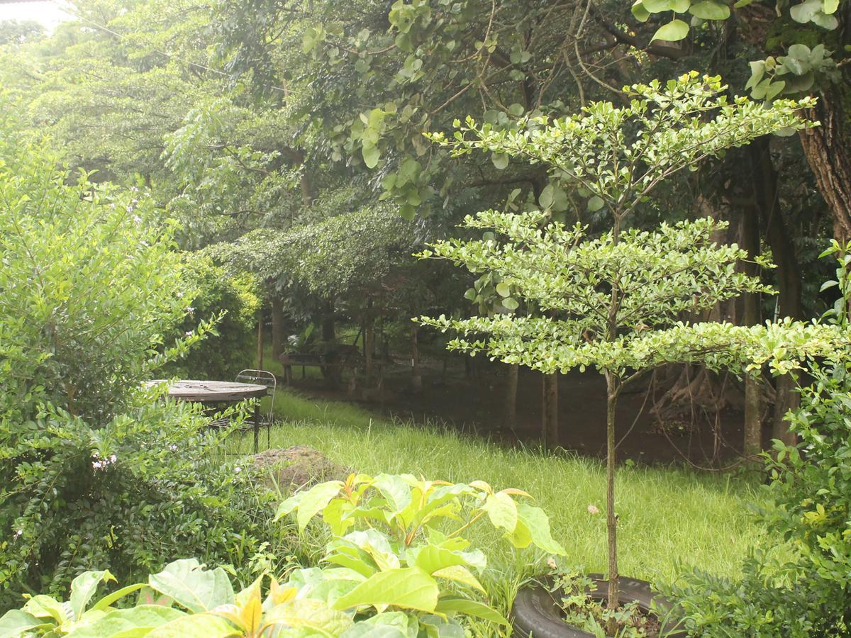 Shamba Hostel Usa River Bagian luar foto
