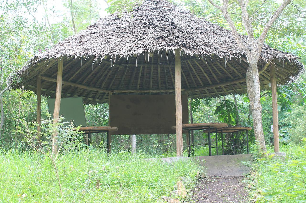 Shamba Hostel Usa River Bagian luar foto