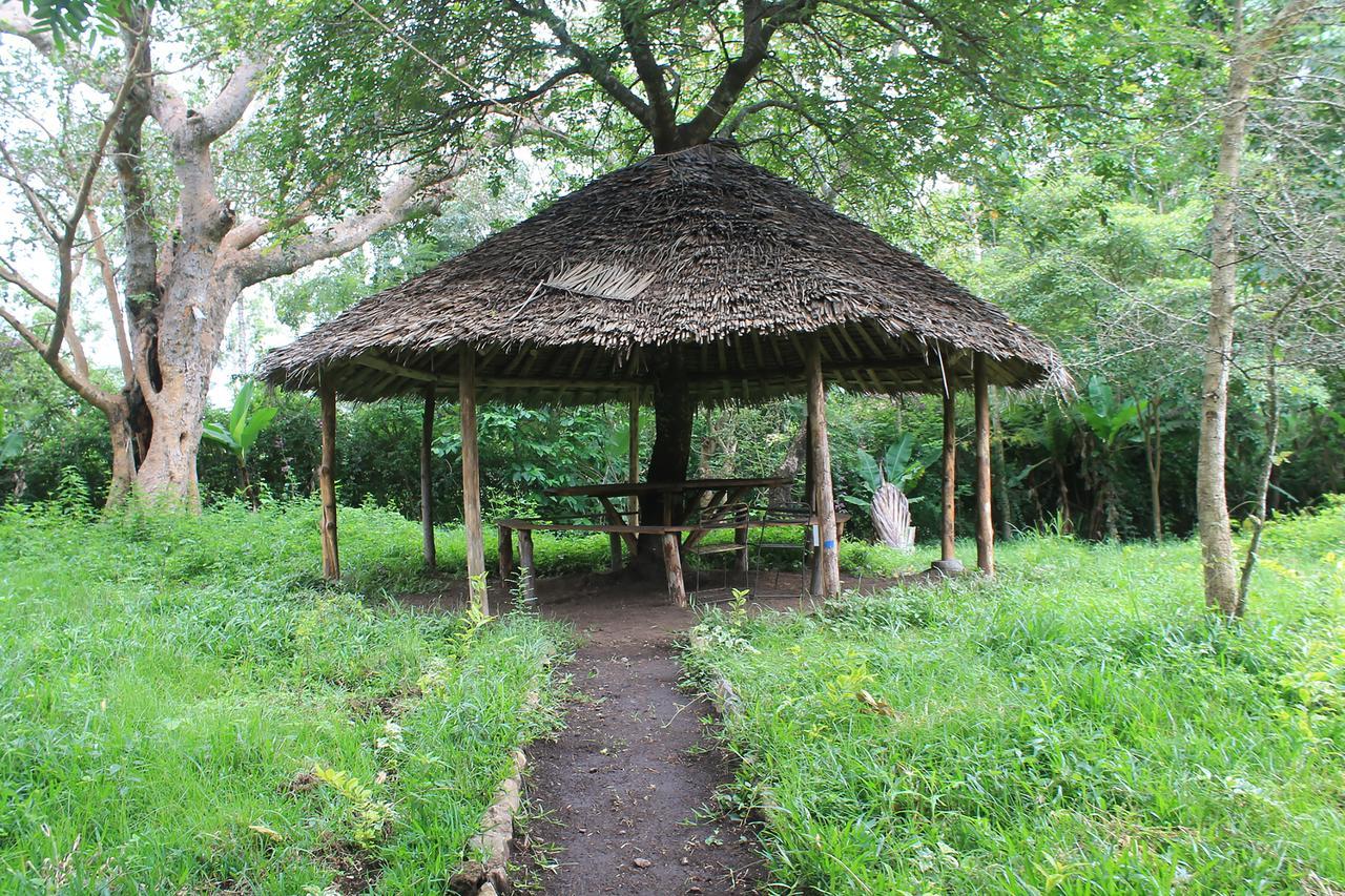 Shamba Hostel Usa River Bagian luar foto